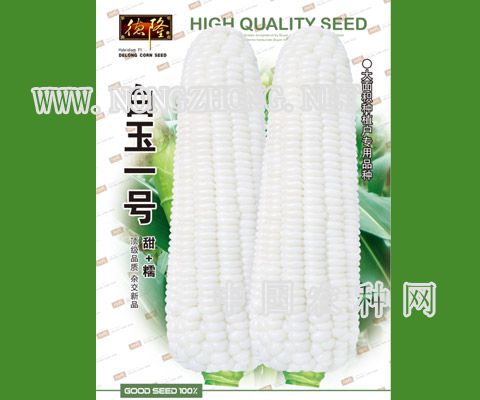 白玉一号
